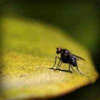 /album/geografia-y-medio-ambiente-/photolia-a07-jpg/